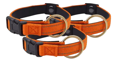 PawLiberation at discount